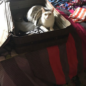 Meet your Posher, Beverly